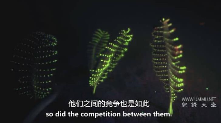 地球生命史 History Of Life On Earth