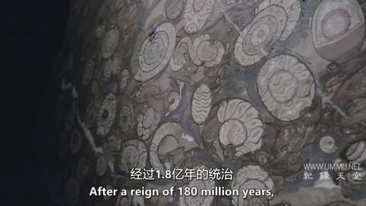 地球生命史 History Of Life On Earth
