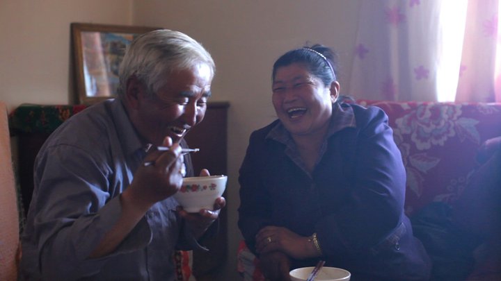 绿色崛起的中国 Green China Rising