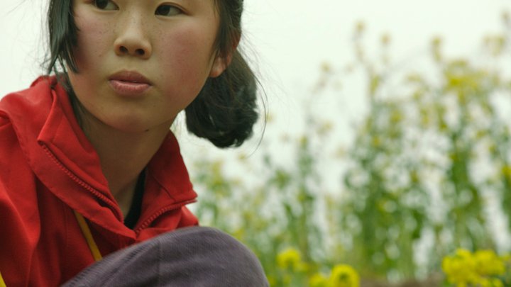 绿色崛起的中国 Green China Rising