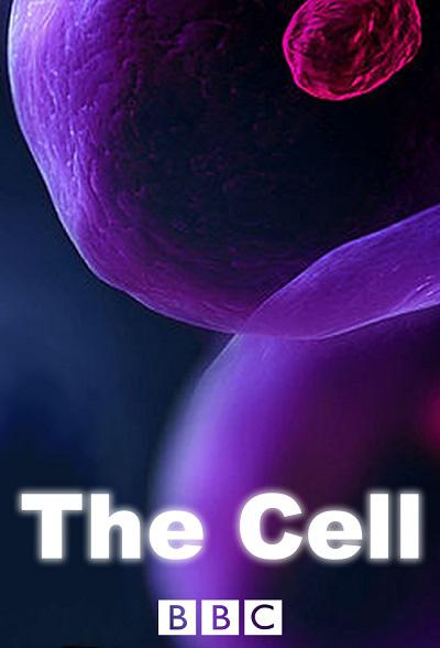 细胞 The Cell