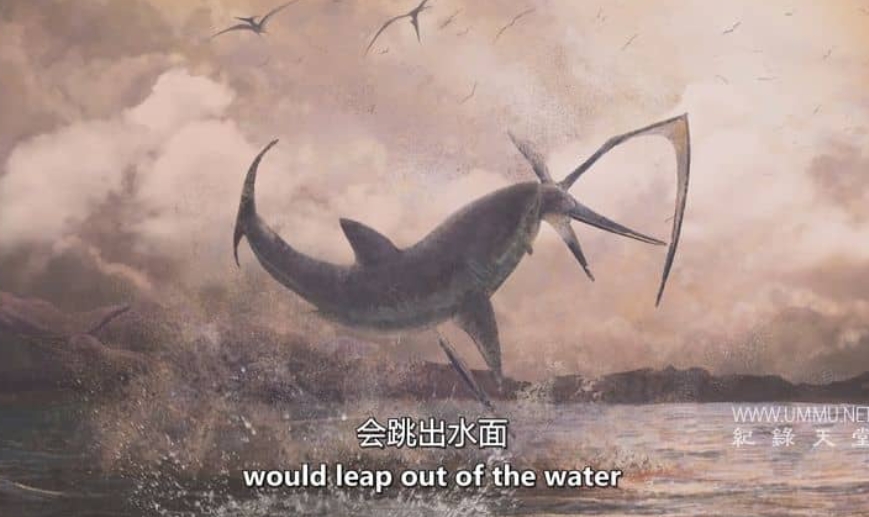 笑死人不偿命的科学 Funny or Die's High Science