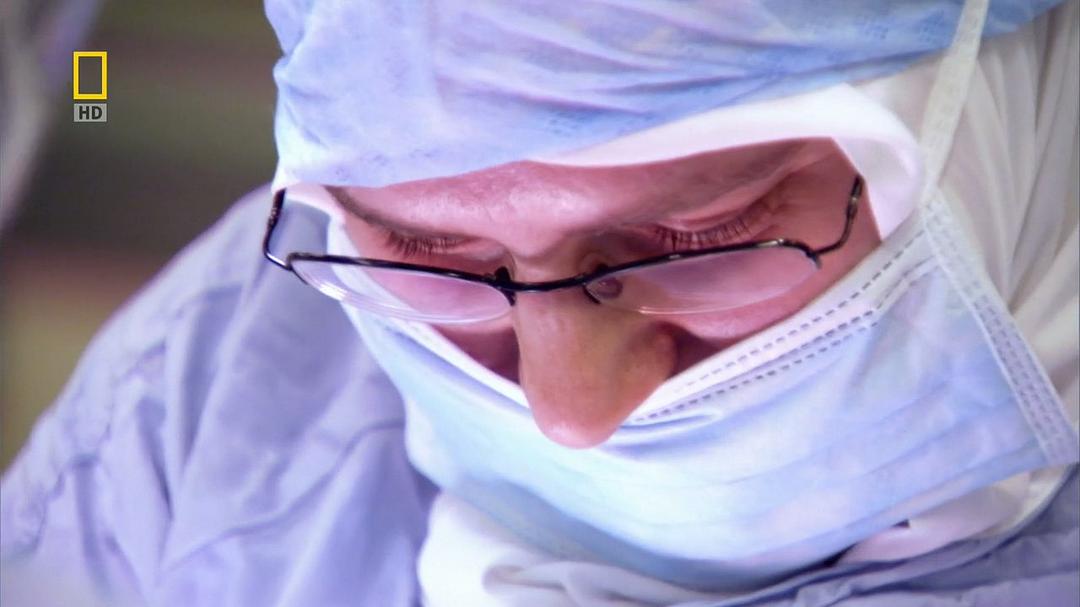 子宫日记：多胞胎 In the Womb: Multiples