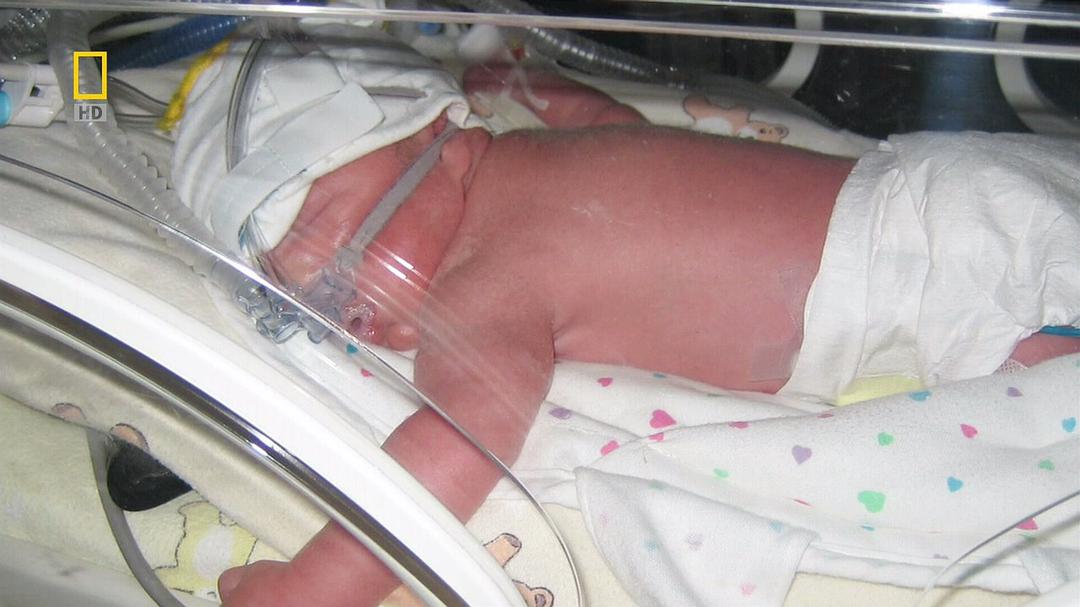 子宫日记：多胞胎 In the Womb: Multiples