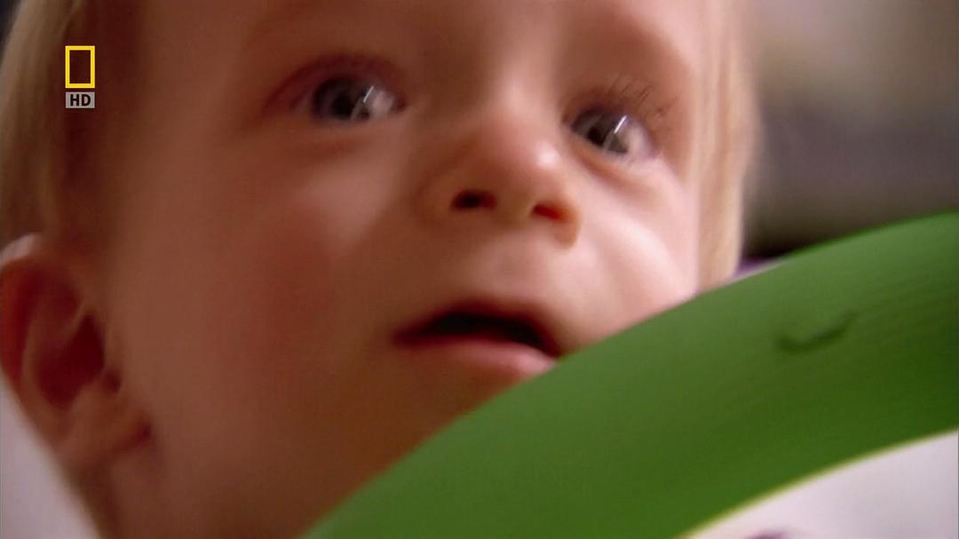 子宫日记：多胞胎 In the Womb: Multiples