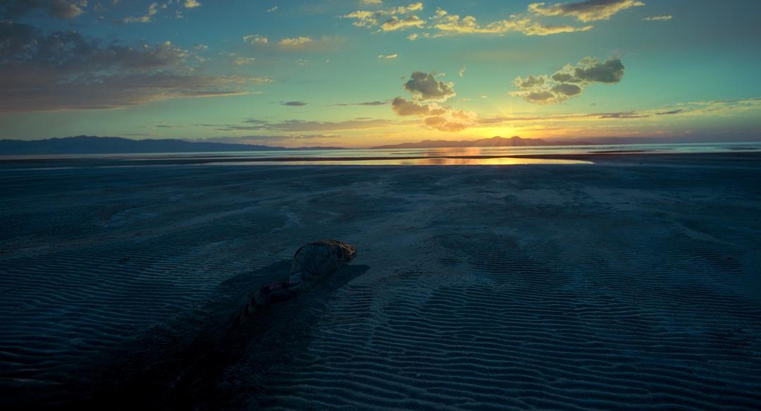 时间之旅 Voyage of Time