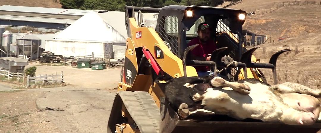 奶牛阴谋：永远不能说的秘密 Cowspiracy: The Sustainability Secret