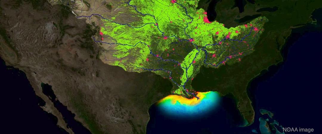 奶牛阴谋：永远不能说的秘密 Cowspiracy: The Sustainability Secret