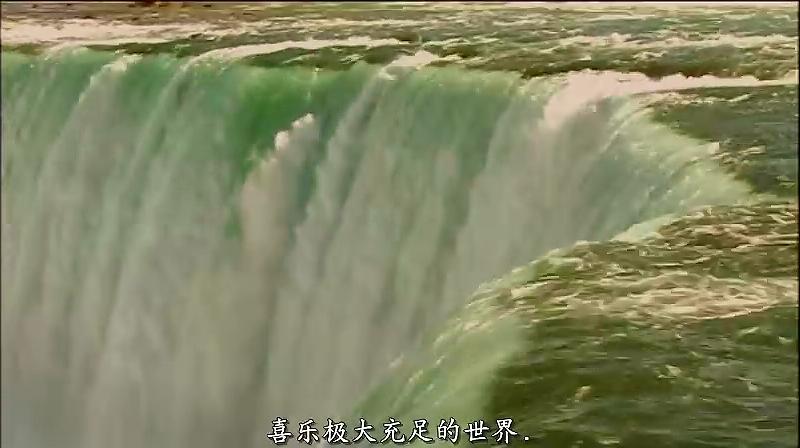 自然法则：吸引定律 The Secret