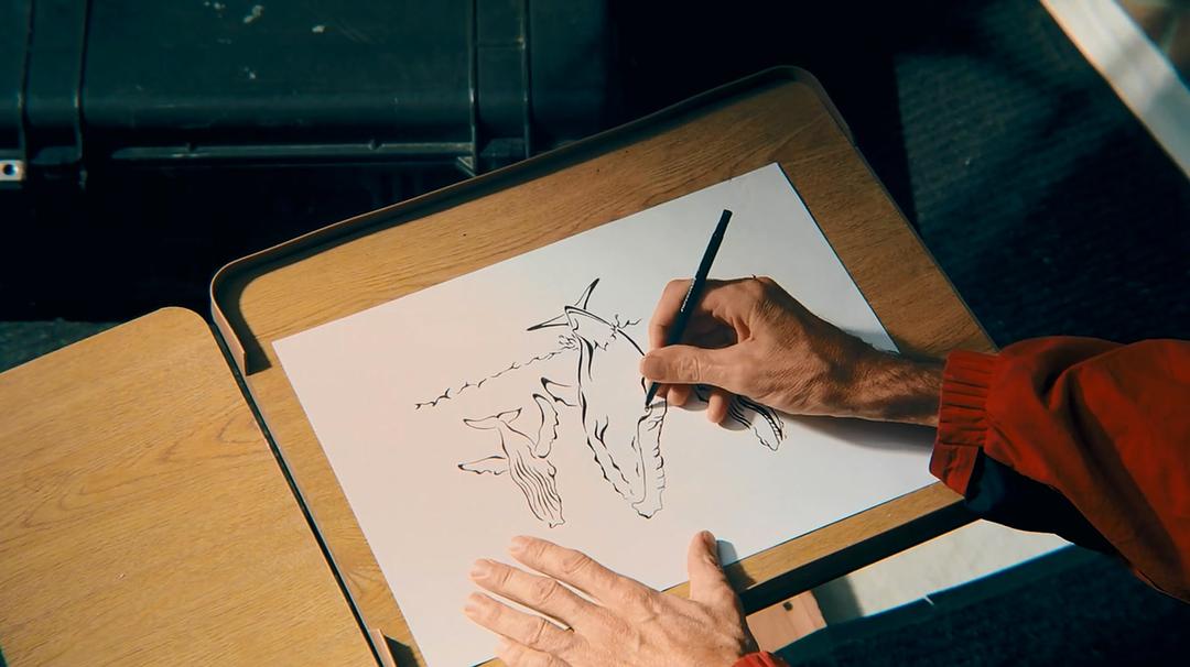 座头鲸 Humpback Whales