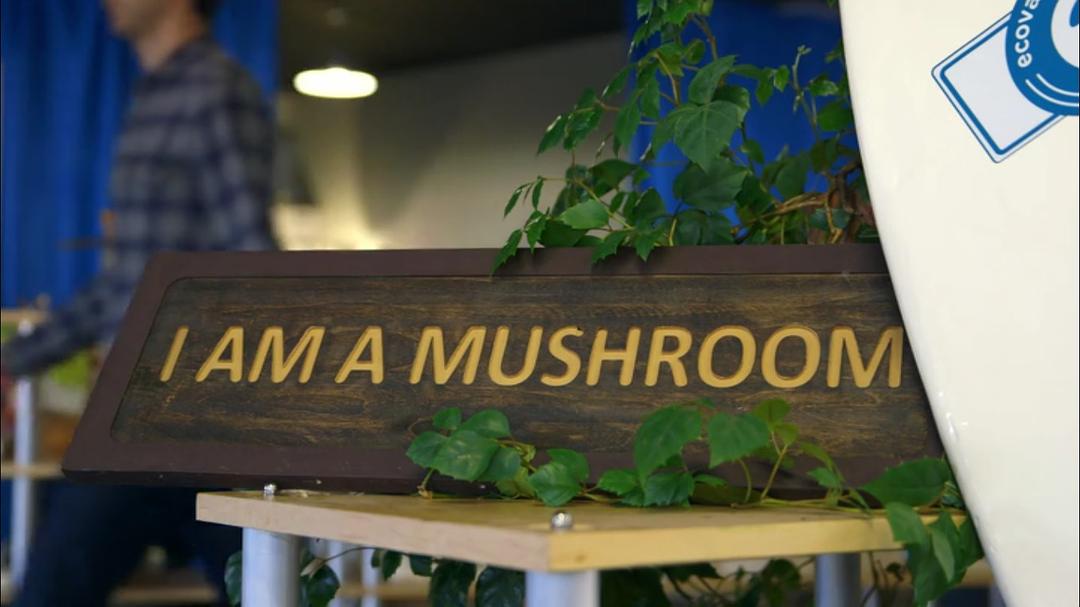 魔力蘑菇 The Magic of Mushrooms