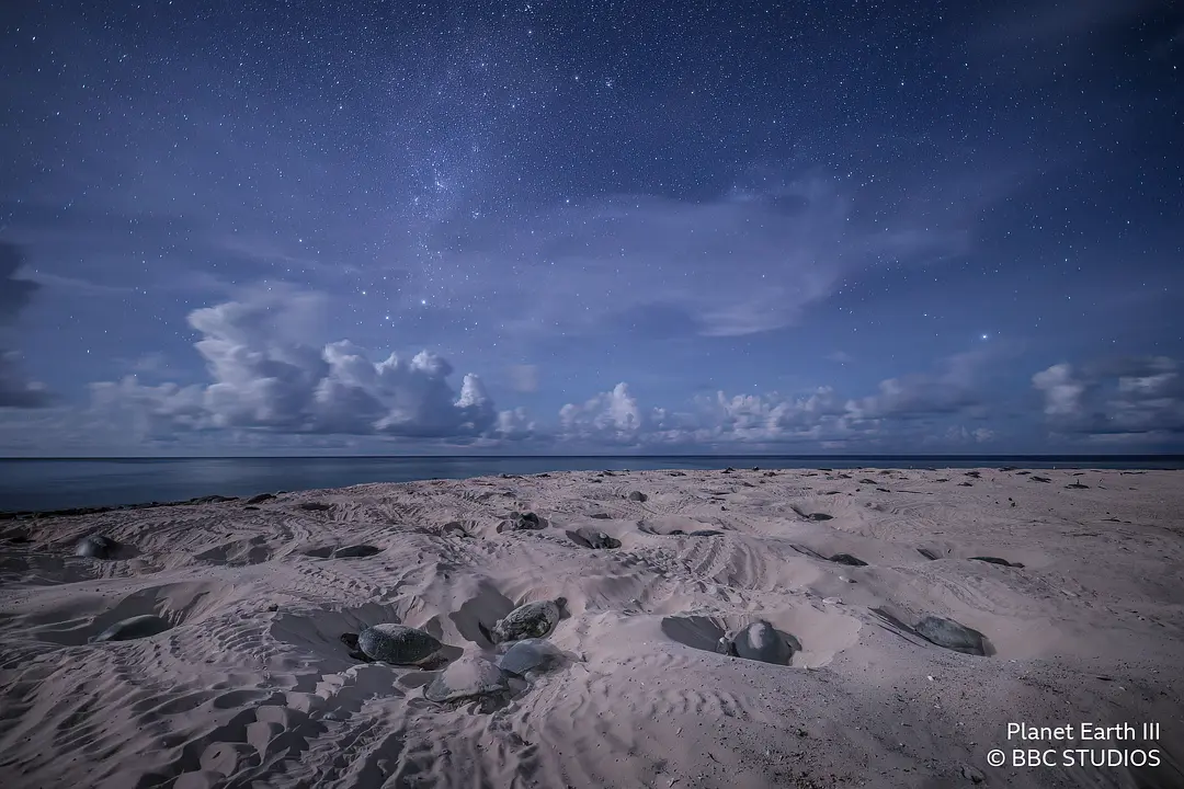 地球脉动 第三季 Planet Earth Season 3