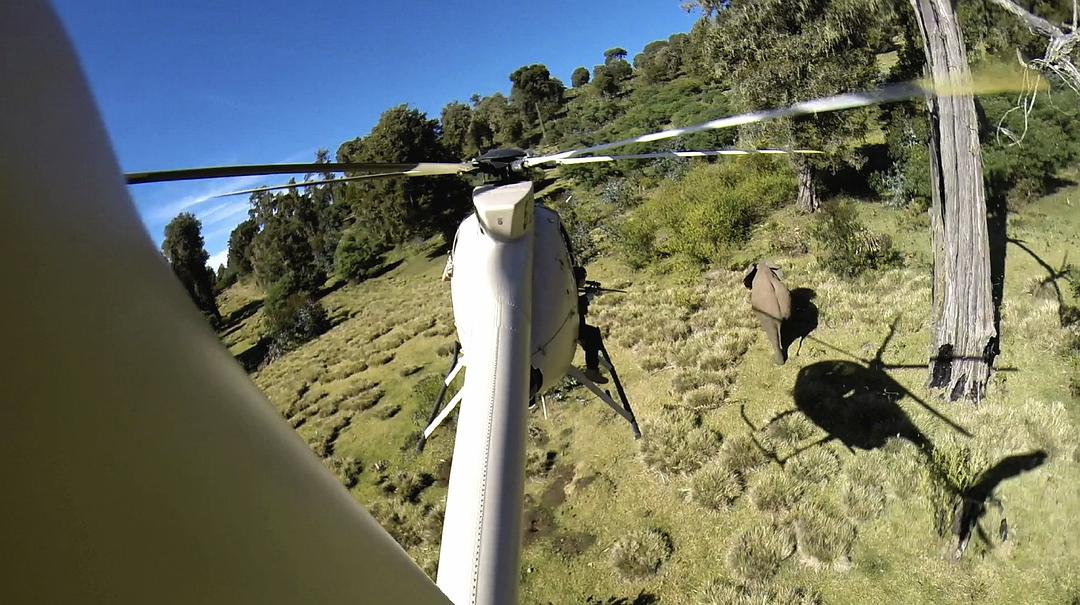 象牙游戏 The Ivory Game