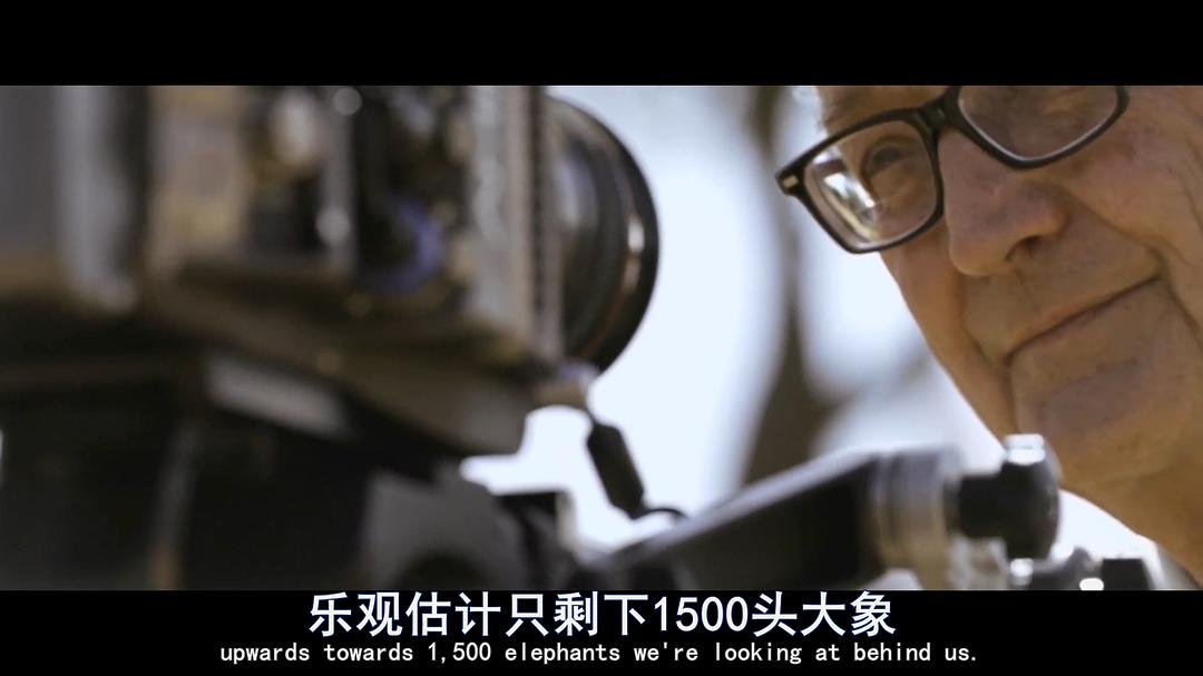 象牙游戏 The Ivory Game