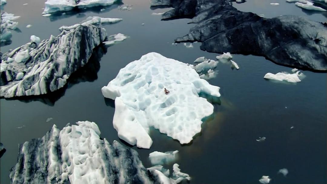 人体奥秘 Inside the Human Body