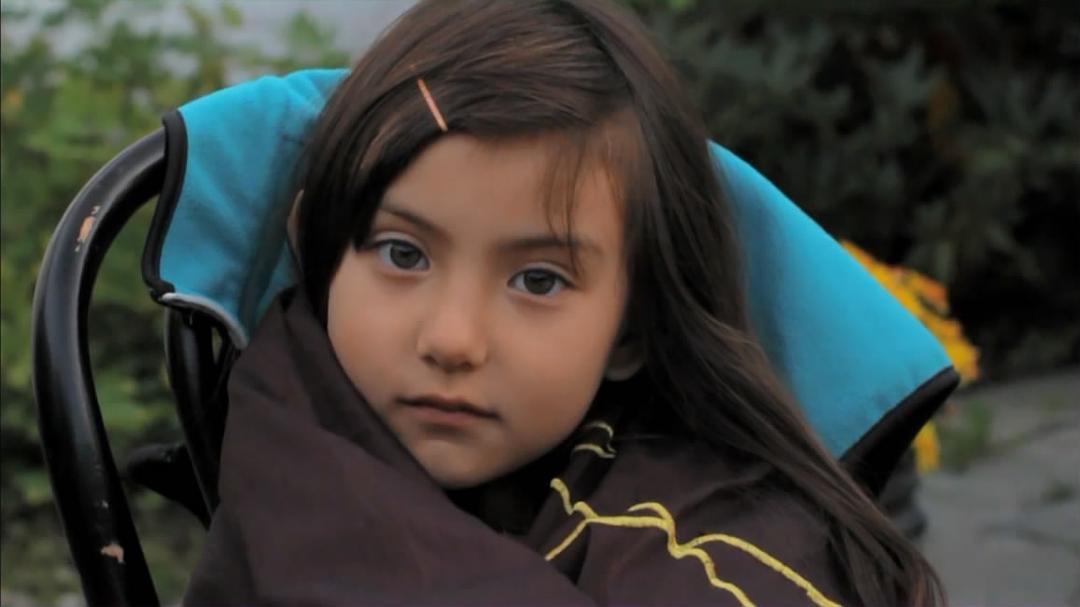 人体奥秘 Inside the Human Body