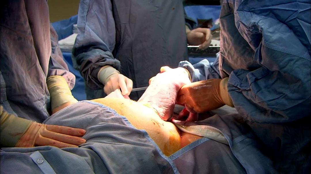 人体奥秘 Inside the Human Body