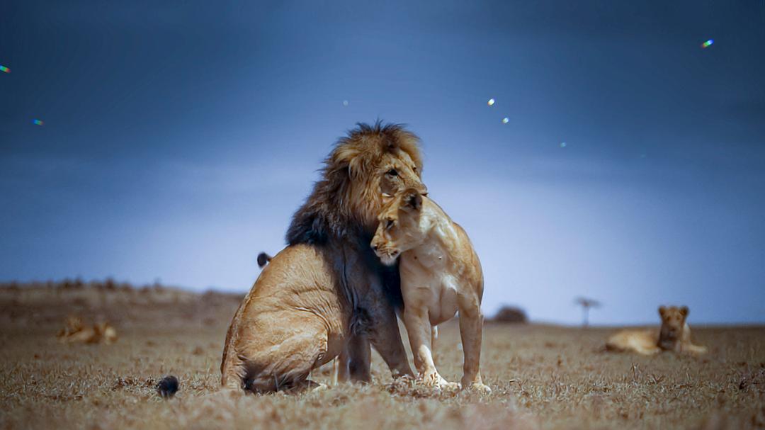 夜色中的地球 第一季 Earth at Night in Color Season 1