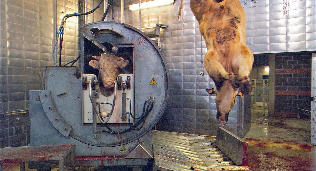 我们每日的面包 Unser täglich Brot