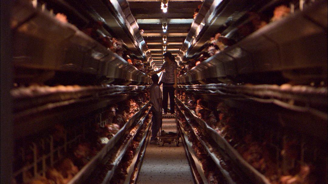 我们每日的面包 Unser täglich Brot