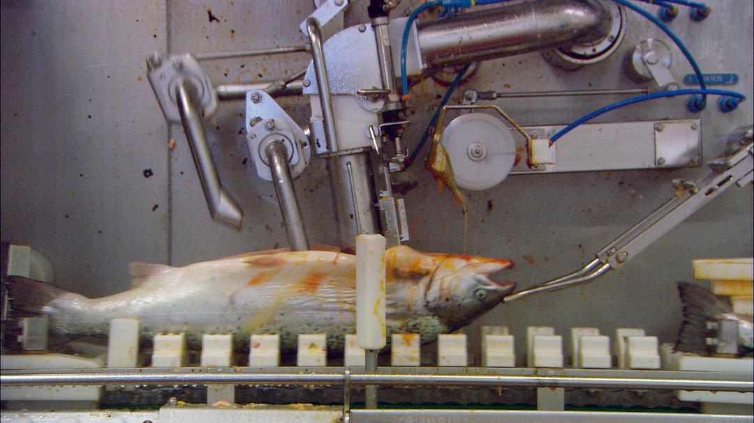 我们每日的面包 Unser täglich Brot