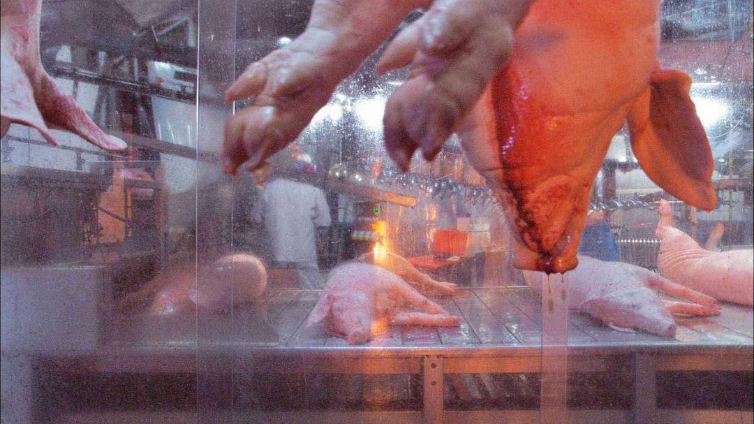 我们每日的面包 Unser täglich Brot