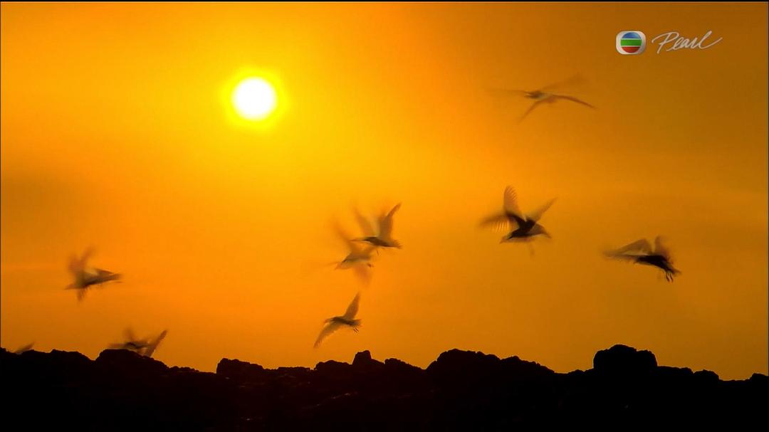 了解宇宙是如何运行的 第二季 How the Universe Works Season 2