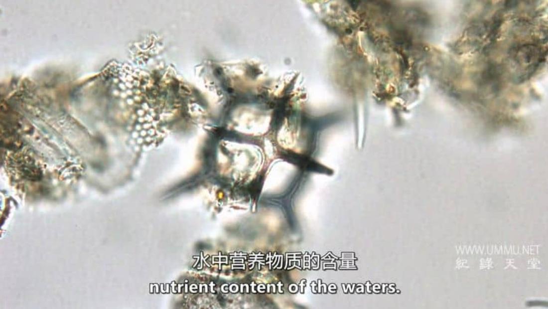 世界之底的湖泊 The Lake at the Bottom of the World