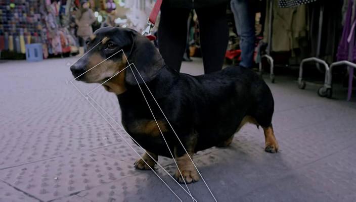 达·芬奇的人生密码 Inside the Mind of Leonardo