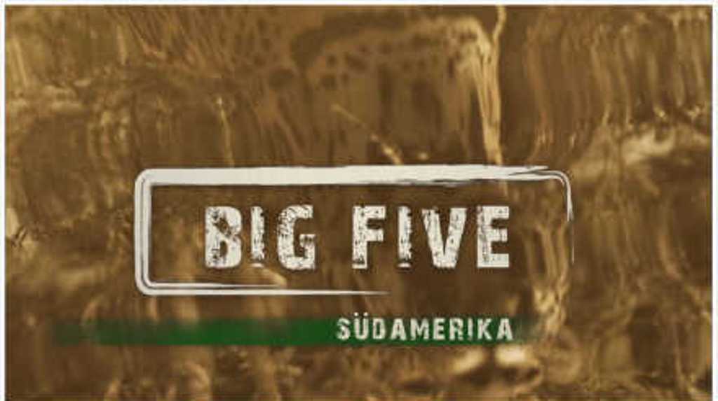 南美五猛兽 Big Five Südamerika