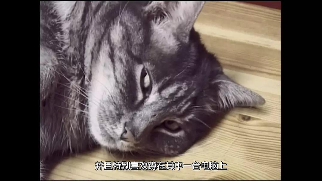 拾穗者 Les glaneurs et la glaneuse