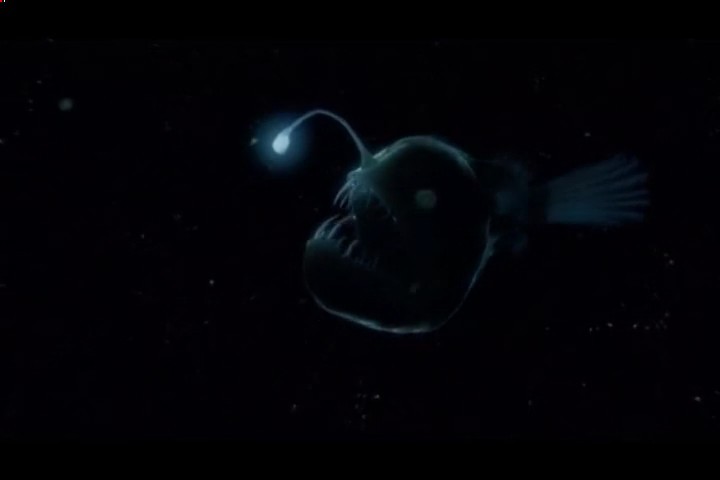 海洋奥德赛 Ocean Odyssey