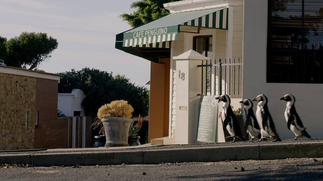 地球改变之年 The Year Earth Changed