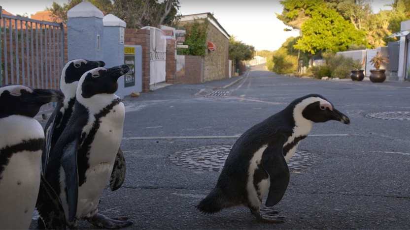 地球改变之年 The Year Earth Changed