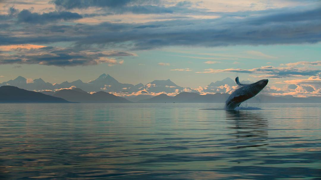 地球改变之年 The Year Earth Changed