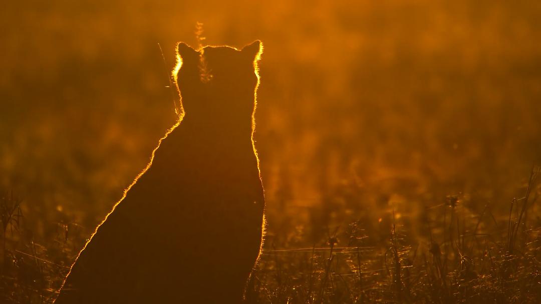 地球改变之年 The Year Earth Changed