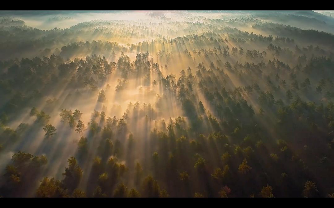 地球改变之年 The Year Earth Changed