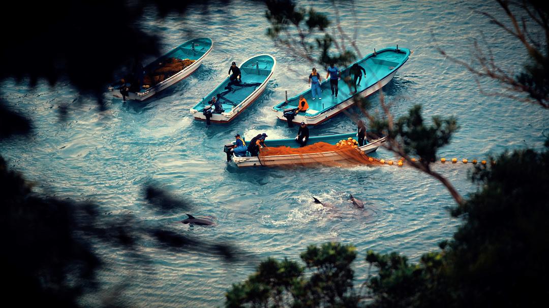 渔业阴谋 Seaspiracy