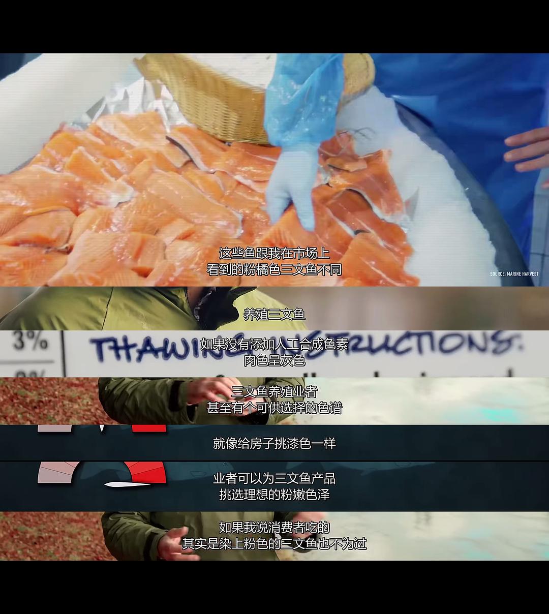 渔业阴谋 Seaspiracy