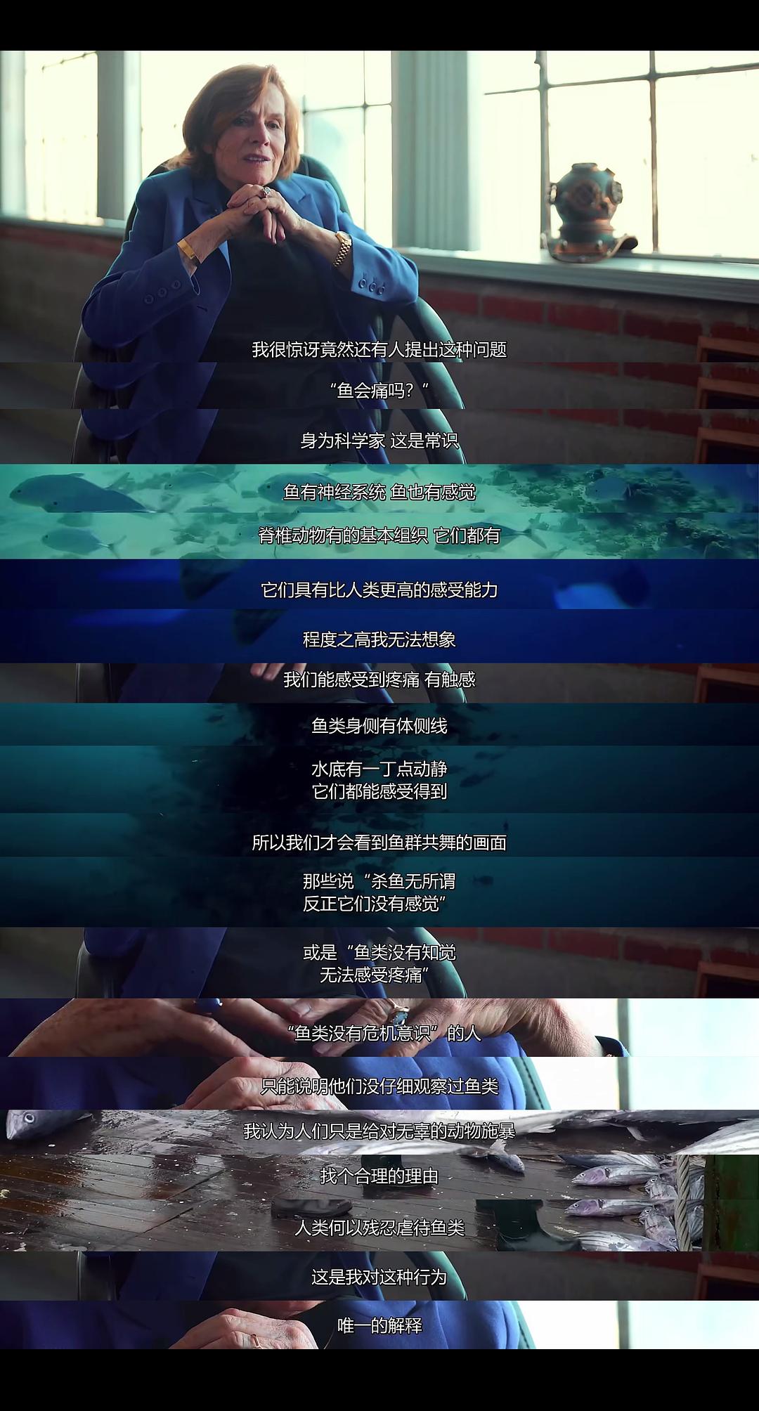 渔业阴谋 Seaspiracy