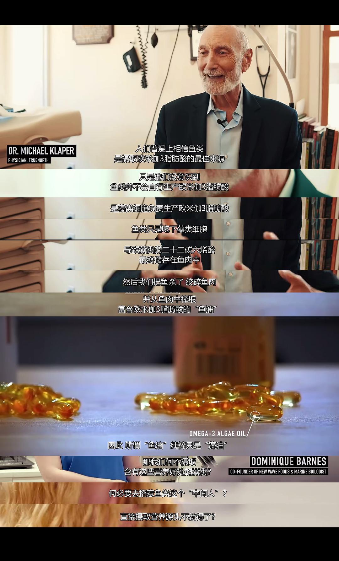 渔业阴谋 Seaspiracy