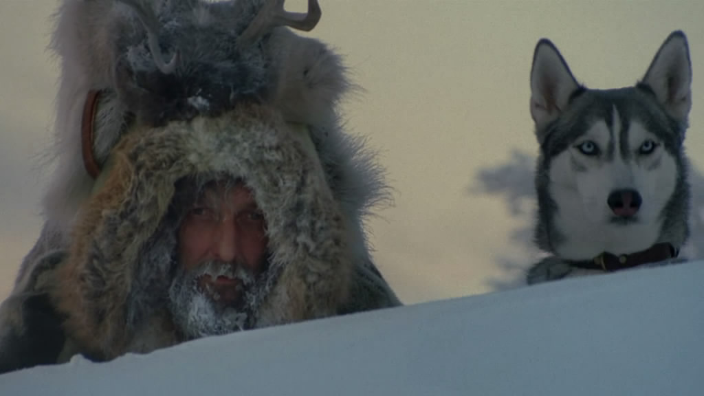 最后的猎人 Le dernier trappeur