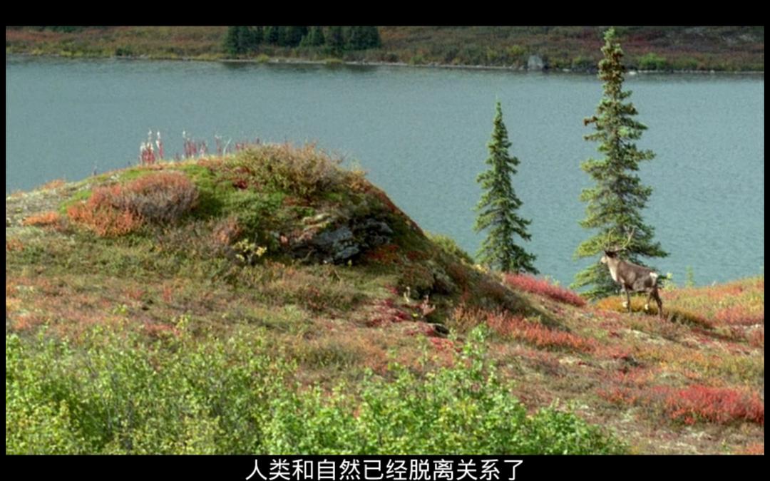 最后的猎人 Le dernier trappeur