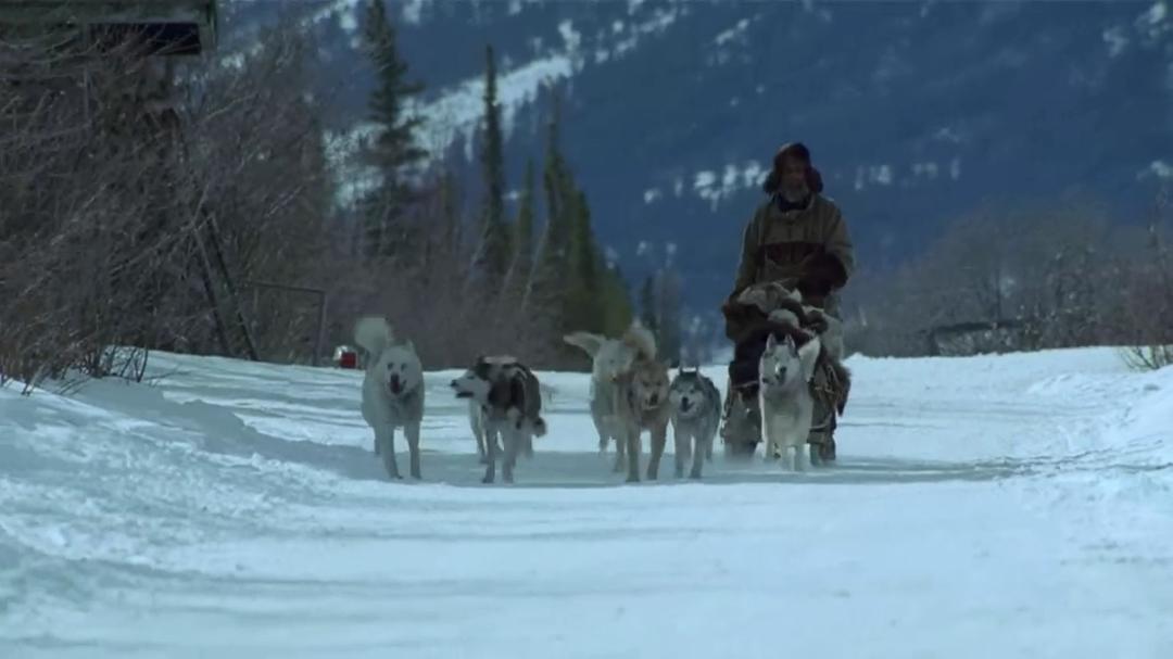 最后的猎人 Le dernier trappeur