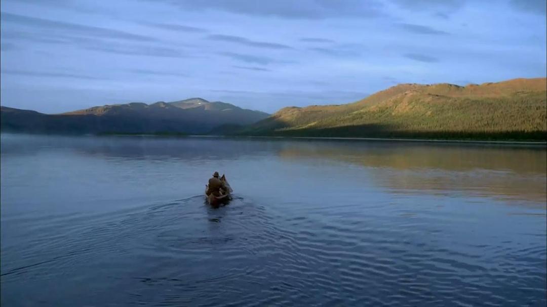 最后的猎人 Le dernier trappeur