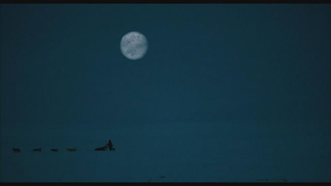 最后的猎人 Le dernier trappeur