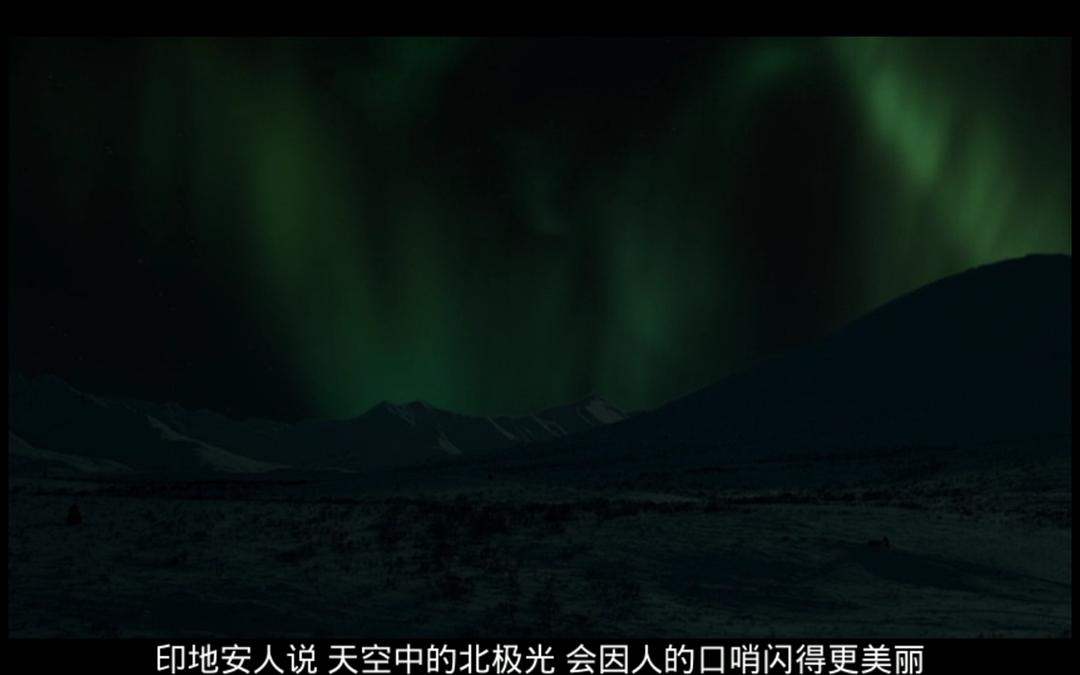 最后的猎人 Le dernier trappeur