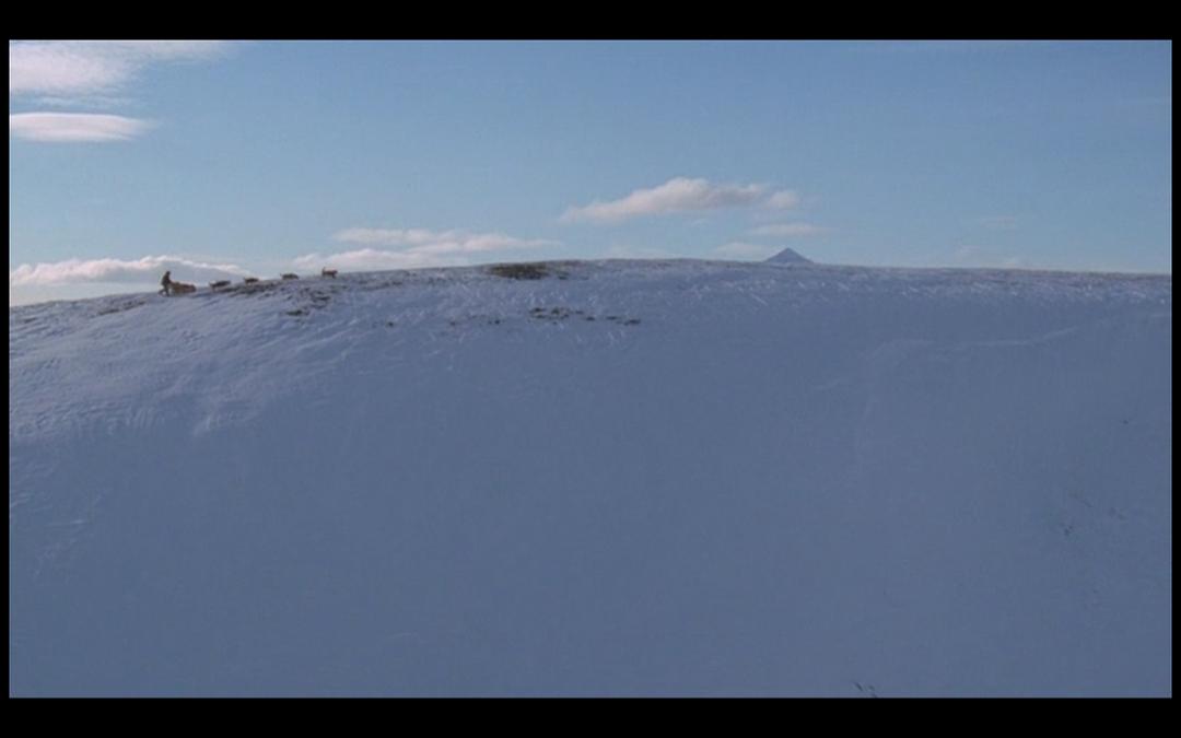 最后的猎人 Le dernier trappeur