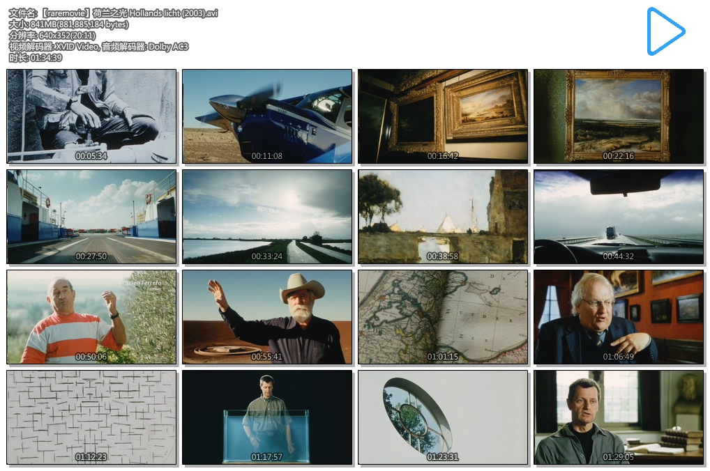 荷兰之光 Hollands licht