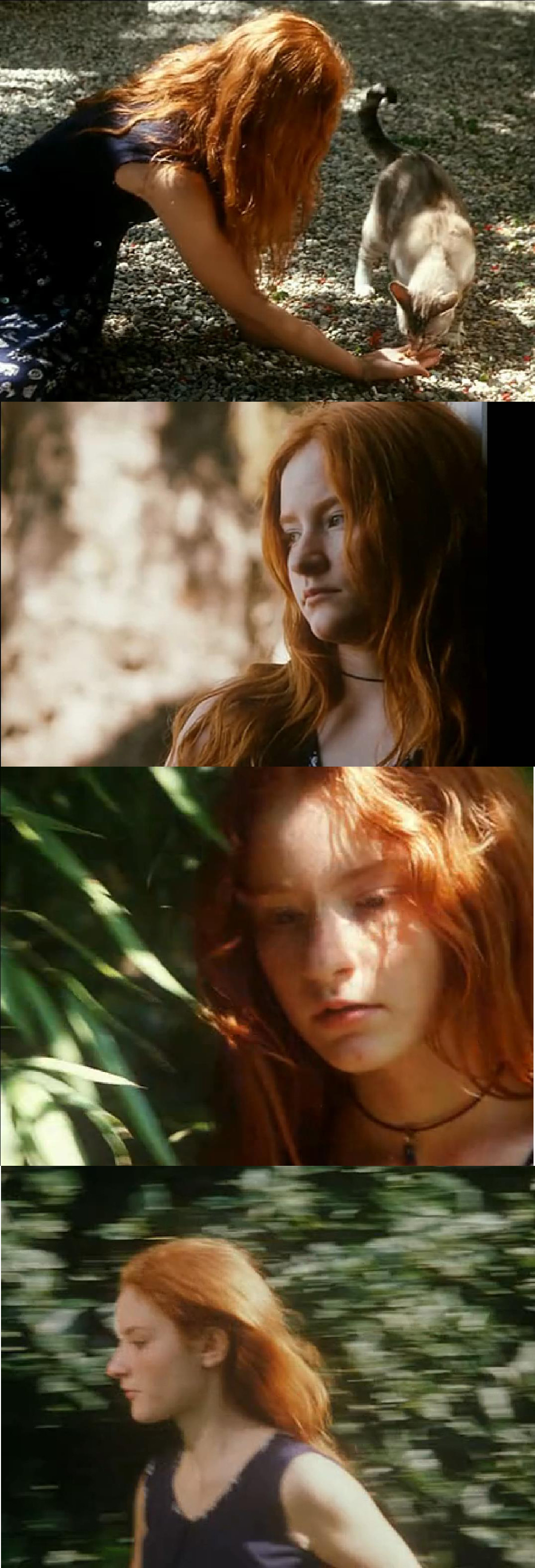 风的第一声呼吸 Al primo soffio di vento